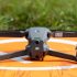 DJI Mini 4 Pro – Le tout nouveau Active Track 360 est incroyable !