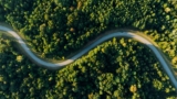 Comment récupérer un drone coincé dans un arbre